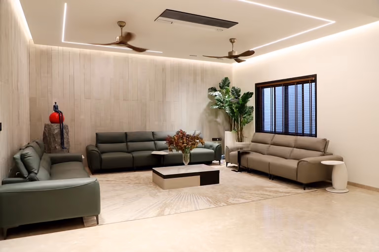 Sala luminosa de una casa moderna con sofás verdes y plantas